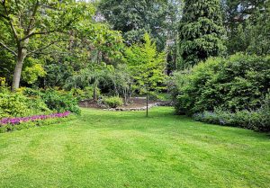 Optimiser l'expérience du jardin à Lassay-les-Chateaux